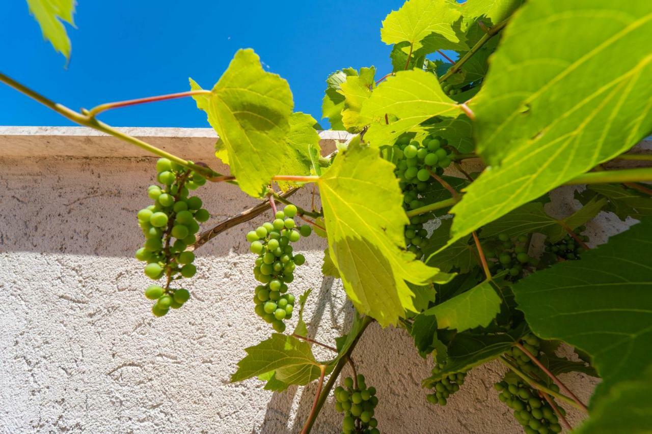 Veliki Vareški Holiday Home Carla And Dajana מראה חיצוני תמונה